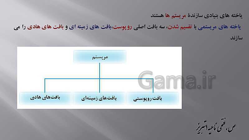 پاورپوینت زیست شناسی دهم هنرستان | پودمان 4: گیاهان- پیش نمایش