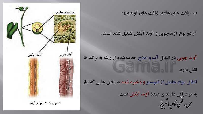 پاورپوینت زیست شناسی دهم هنرستان | پودمان 4: گیاهان- پیش نمایش