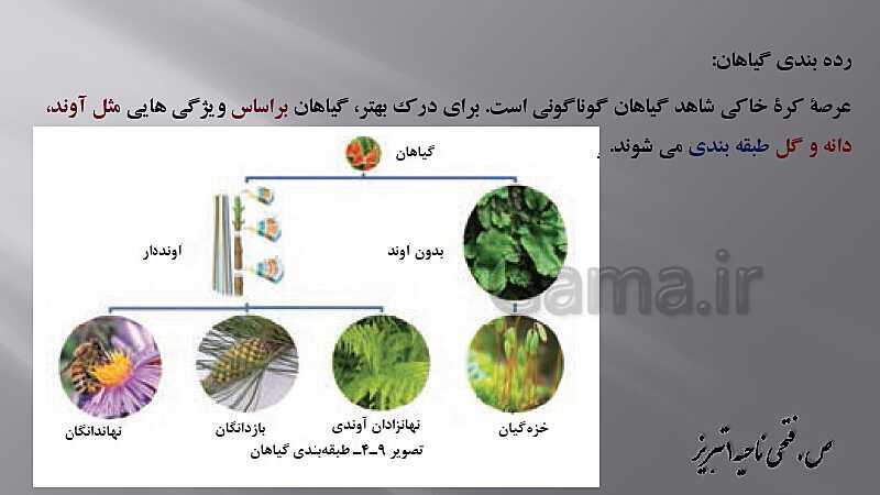 پاورپوینت زیست شناسی دهم هنرستان | پودمان 4: گیاهان- پیش نمایش