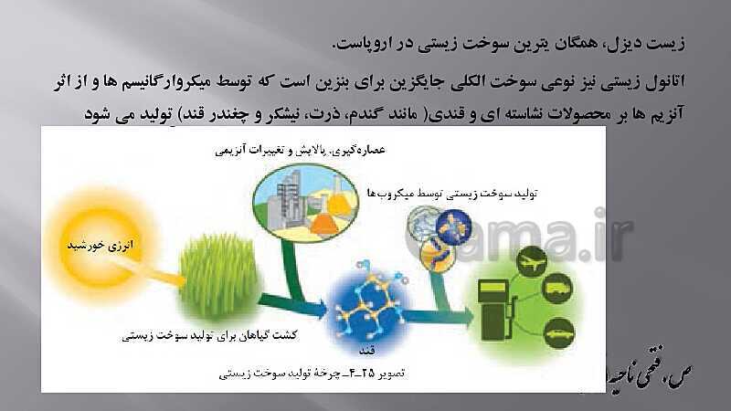 پاورپوینت زیست شناسی دهم هنرستان | پودمان 4: گیاهان- پیش نمایش