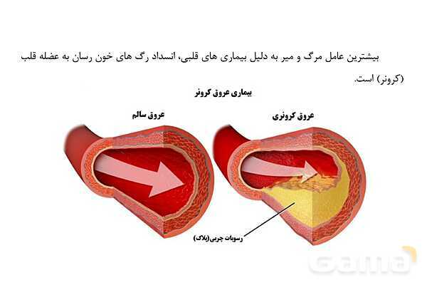 پاورپوینت سلامت و بهداشت دوازدهم دوره دوم متوسطه | درس 6: بیماریهای غیر واگیر- پیش نمایش