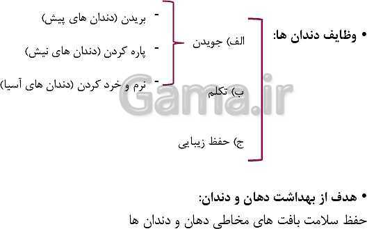 پاورپوینت سلامت و بهداشت دوازدهم دوره دوم متوسطه | درس 8: بهداشت فردی- پیش نمایش