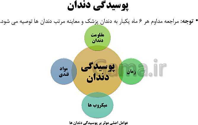 پاورپوینت سلامت و بهداشت دوازدهم دوره دوم متوسطه | درس 8: بهداشت فردی- پیش نمایش