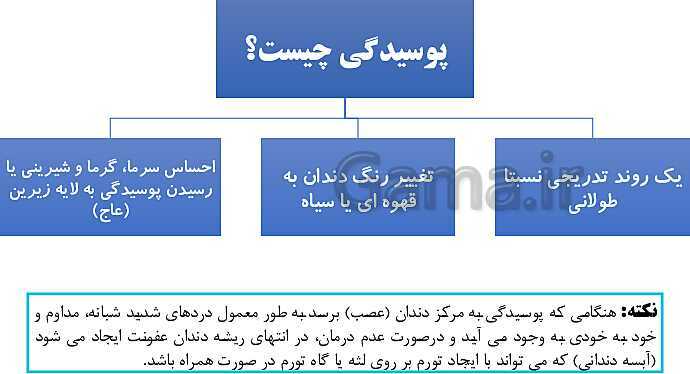 پاورپوینت سلامت و بهداشت دوازدهم دوره دوم متوسطه | درس 8: بهداشت فردی- پیش نمایش