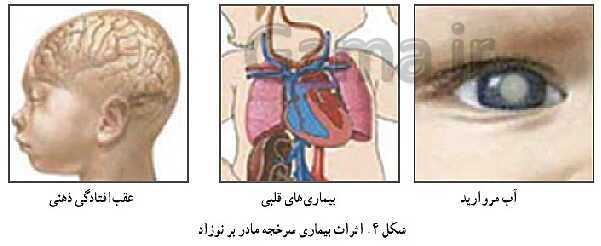 پاورپوینت سلامت و بهداشت دوازدهم دوره دوم متوسطه | درس 9: بهداشت ازدواج و باروری- پیش نمایش