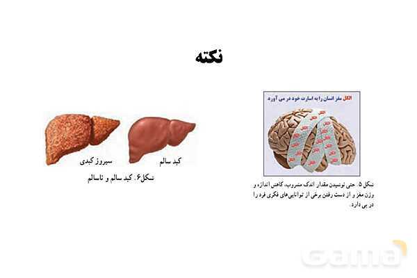 پاورپوینت سلامت و بهداشت دوازدهم دوره دوم متوسطه | درس 11: مصرف دخانیات و الکل- پیش نمایش