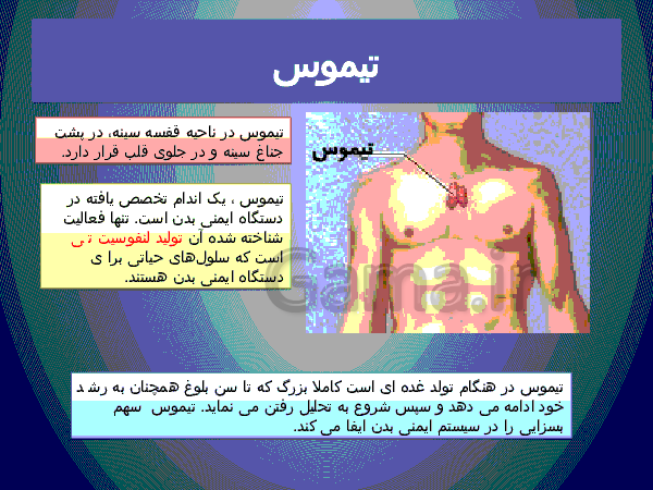 پاورپوینت علوم تجربی پایه هشتم   | فصل ششم: تنظیم هورمونی- پیش نمایش