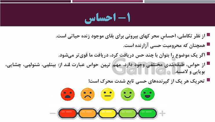 پاورپوینت روانشناسی یازدهم دبیرستان | درس 3: احساس، توجه، ادراک- پیش نمایش