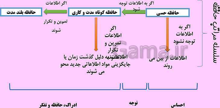 پاورپوینت روانشناسی یازدهم دبیرستان | درس 4: حافظه و علل فراموشی- پیش نمایش