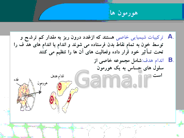 پاورپوینت علوم تجربی کلاس هشتم - معرفی دستگاه هورمونی + هورمون رشد- پیش نمایش