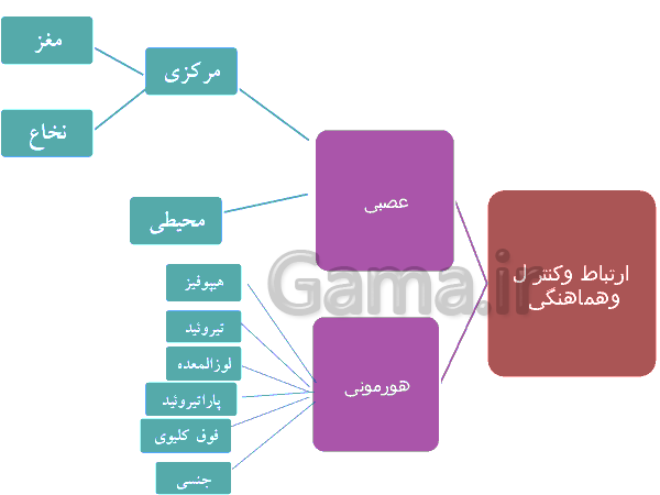 پاورپوینت علوم تجربی کلاس هشتم - معرفی دستگاه هورمونی + هورمون رشد- پیش نمایش