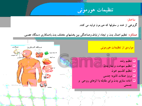 پاورپوینت علوم تجربی کلاس هشتم - معرفی دستگاه هورمونی + هورمون رشد- پیش نمایش