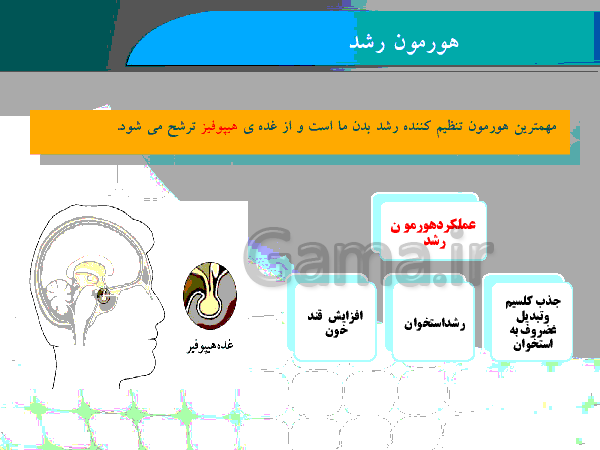 پاورپوینت علوم تجربی کلاس هشتم - معرفی دستگاه هورمونی + هورمون رشد- پیش نمایش