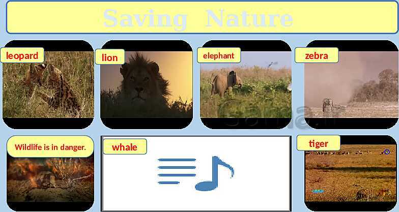 پاورپوینت تدریس کامل درس اول زبان انگلیسی (1) دهم | درس 1: Saving Nature- پیش نمایش