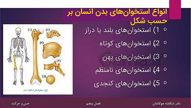 پاورپوینت کتاب تکمیلی تیزهوشان علوم تجربی هشتم | فصل 5: حس و حرکت- پیش نمایش