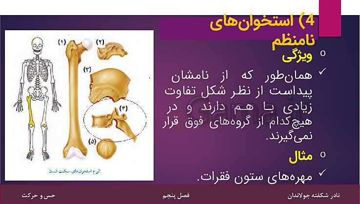 پاورپوینت کتاب تکمیلی تیزهوشان علوم تجربی هشتم | فصل 5: حس و حرکت- پیش نمایش