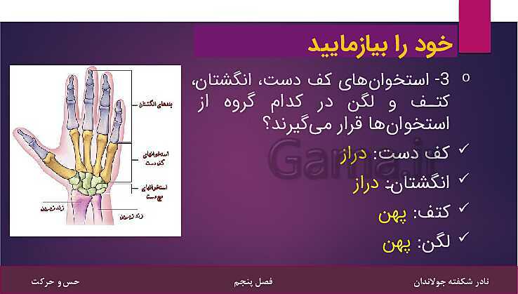 پاورپوینت کتاب تکمیلی تیزهوشان علوم تجربی هشتم | فصل 5: حس و حرکت- پیش نمایش