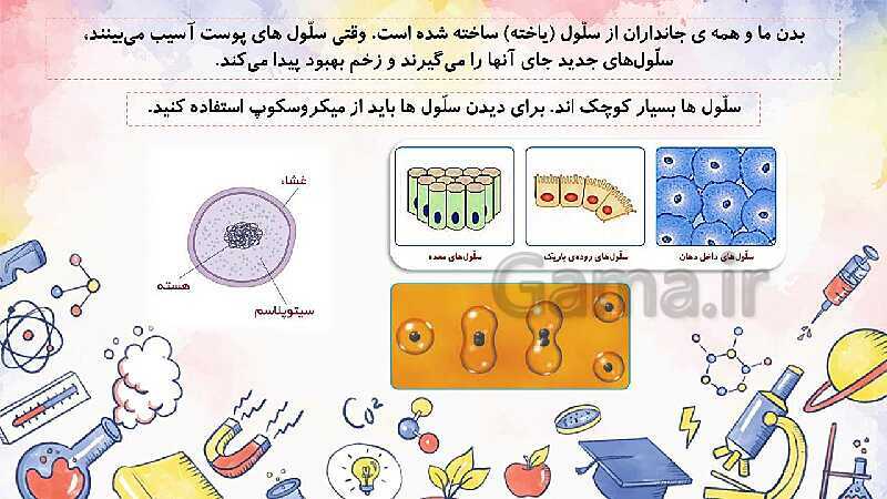 پاورپوینت مرور درس 2 تا 13 علوم تجربی چهارم دبستان- پیش نمایش