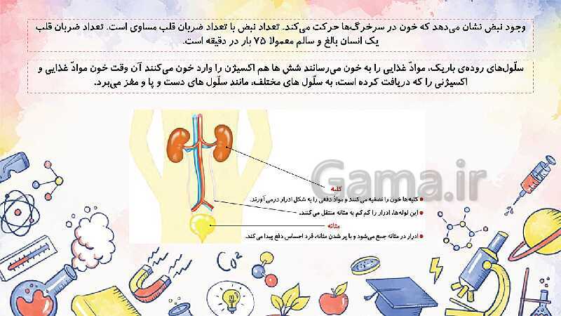 پاورپوینت مرور درس 2 تا 13 علوم تجربی چهارم دبستان- پیش نمایش