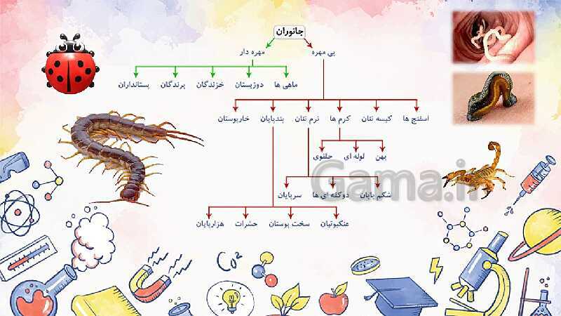 پاورپوینت مرور درس 2 تا 13 علوم تجربی چهارم دبستان- پیش نمایش