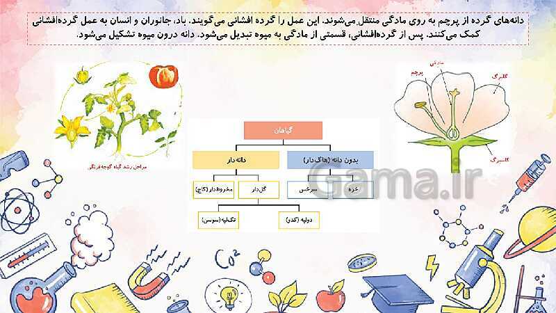 پاورپوینت مرور درس 2 تا 13 علوم تجربی چهارم دبستان- پیش نمایش