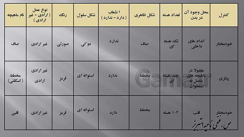 پاورپوینت آموزش مفهومی فصل سوم زیست یازدهم  | گفتار 2: ماهیچه و حرکت- پیش نمایش