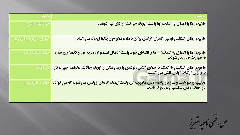 پاورپوینت آموزش مفهومی فصل سوم زیست یازدهم  | گفتار 2: ماهیچه و حرکت- پیش نمایش