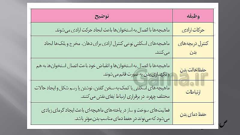 پاورپوینت آموزش مفهومی فصل سوم زیست یازدهم  | گفتار 2: ماهیچه و حرکت- پیش نمایش