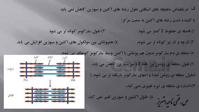 پاورپوینت آموزش مفهومی فصل سوم زیست یازدهم  | گفتار 2: ماهیچه و حرکت- پیش نمایش