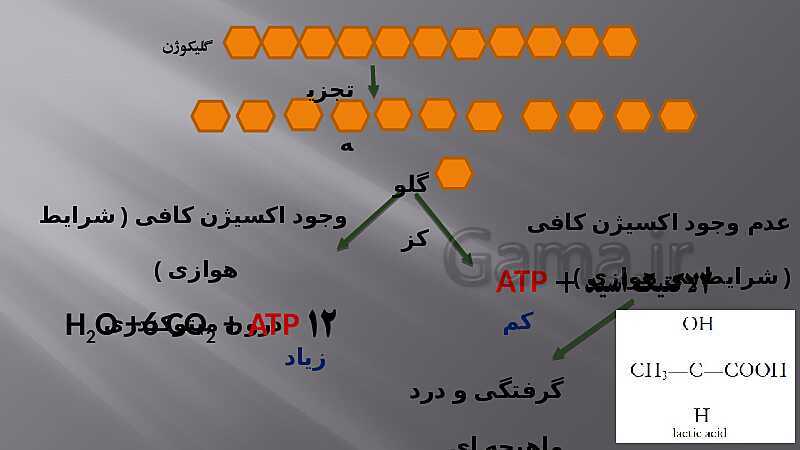 پاورپوینت آموزش مفهومی فصل سوم زیست یازدهم  | گفتار 2: ماهیچه و حرکت- پیش نمایش