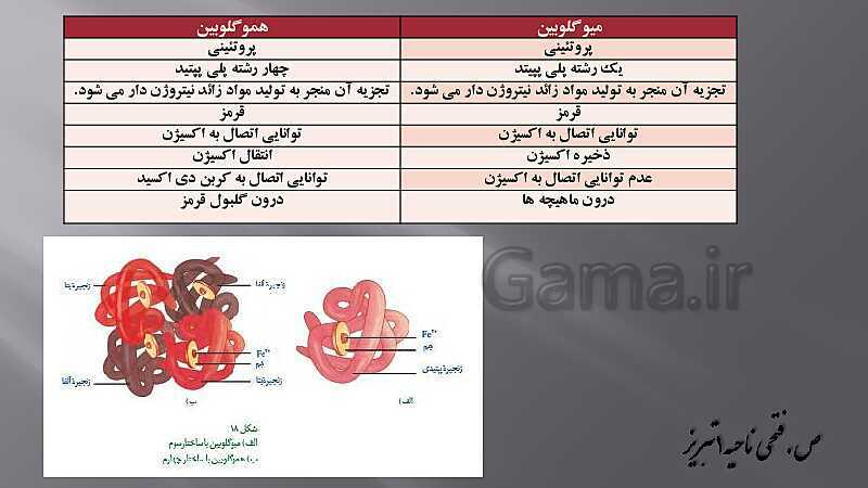 پاورپوینت آموزش مفهومی فصل سوم زیست یازدهم  | گفتار 2: ماهیچه و حرکت- پیش نمایش