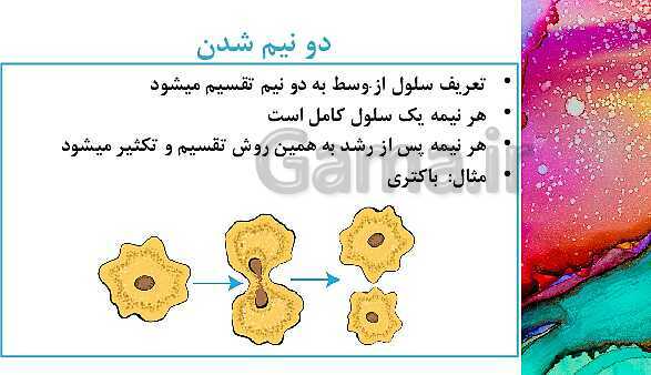 پاورپوینت آموزش مالتی مدیا علوم هشتم | فصل 8: تولید مثل در جانداران- پیش نمایش