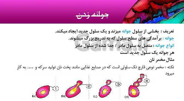 پاورپوینت آموزش مالتی مدیا علوم هشتم | فصل 8: تولید مثل در جانداران- پیش نمایش