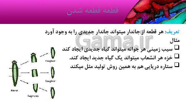 پاورپوینت آموزش مالتی مدیا علوم هشتم | فصل 8: تولید مثل در جانداران- پیش نمایش