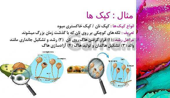 پاورپوینت آموزش مالتی مدیا علوم هشتم | فصل 8: تولید مثل در جانداران- پیش نمایش