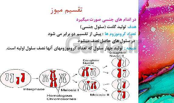 پاورپوینت آموزش مالتی مدیا علوم هشتم | فصل 8: تولید مثل در جانداران- پیش نمایش