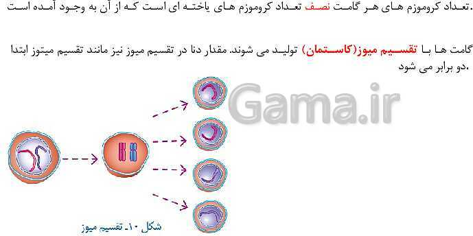 پاورپوینت آموزش کتاب درسی علوم تجربی هشتم | فصل 8: تولید مثل در جانداران- پیش نمایش