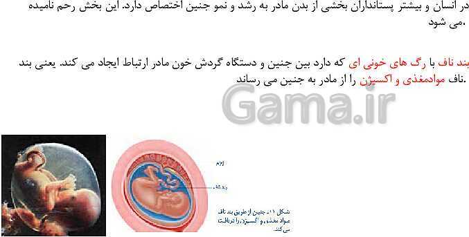 پاورپوینت آموزش کتاب درسی علوم تجربی هشتم | فصل 8: تولید مثل در جانداران- پیش نمایش