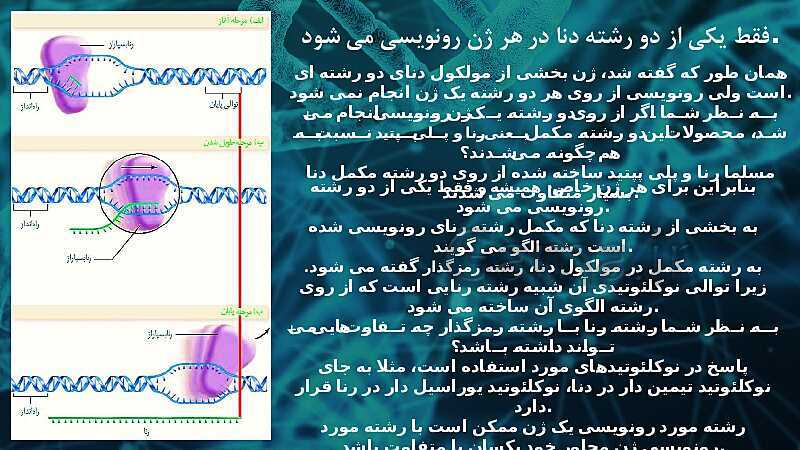 پاورپوینت تدریس زیست شناسی سال دوازدهم | فصل 2: جریان اطلاعات در یاخته- پیش نمایش