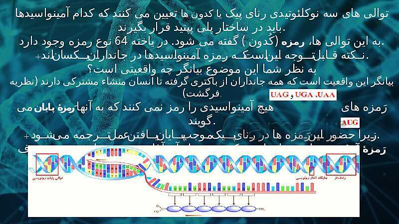 پاورپوینت تدریس زیست شناسی سال دوازدهم | فصل 2: جریان اطلاعات در یاخته- پیش نمایش