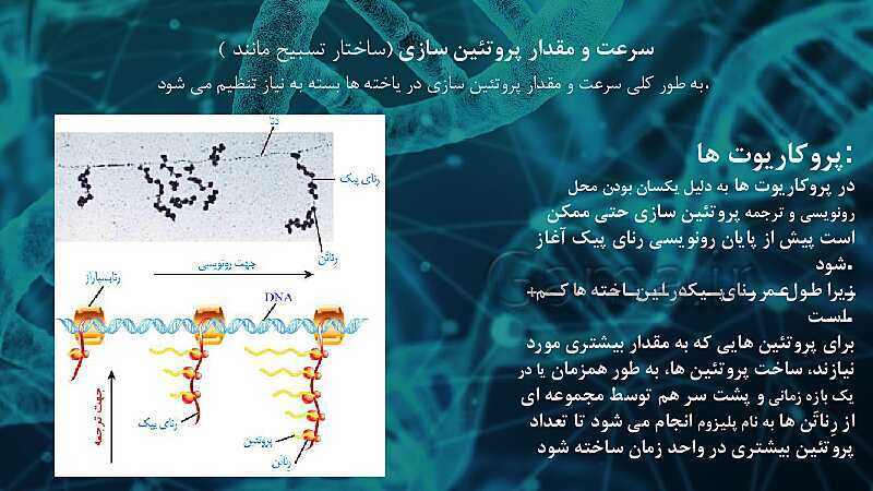 پاورپوینت تدریس زیست شناسی سال دوازدهم | فصل 2: جریان اطلاعات در یاخته- پیش نمایش