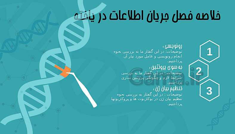 پاورپوینت تدریس زیست شناسی سال دوازدهم | فصل 2: جریان اطلاعات در یاخته- پیش نمایش