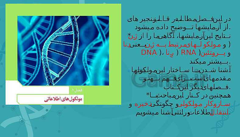 پاورپوینت تدریس زیست شناسی سال دوازدهم |  فصل 1: مولکول‌های اطلاعاتی- پیش نمایش