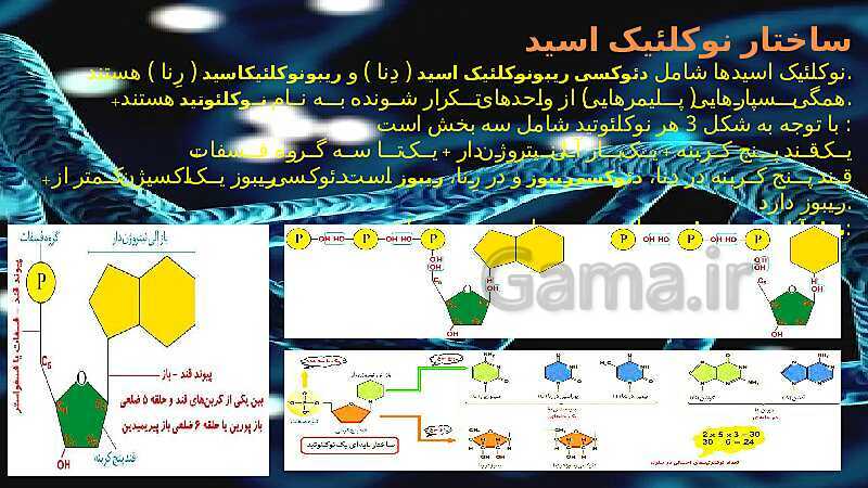 پاورپوینت تدریس زیست شناسی سال دوازدهم |  فصل 1: مولکول‌های اطلاعاتی- پیش نمایش