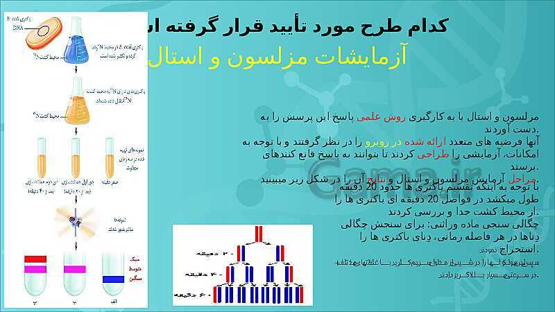 پاورپوینت تدریس زیست شناسی سال دوازدهم |  فصل 1: مولکول‌های اطلاعاتی- پیش نمایش