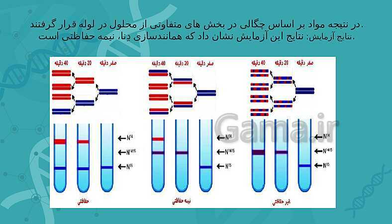 پاورپوینت تدریس زیست شناسی سال دوازدهم |  فصل 1: مولکول‌های اطلاعاتی- پیش نمایش