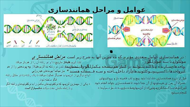 پاورپوینت تدریس زیست شناسی سال دوازدهم |  فصل 1: مولکول‌های اطلاعاتی- پیش نمایش