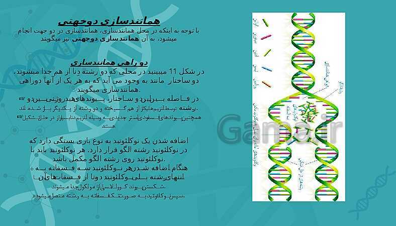 پاورپوینت تدریس زیست شناسی سال دوازدهم |  فصل 1: مولکول‌های اطلاعاتی- پیش نمایش