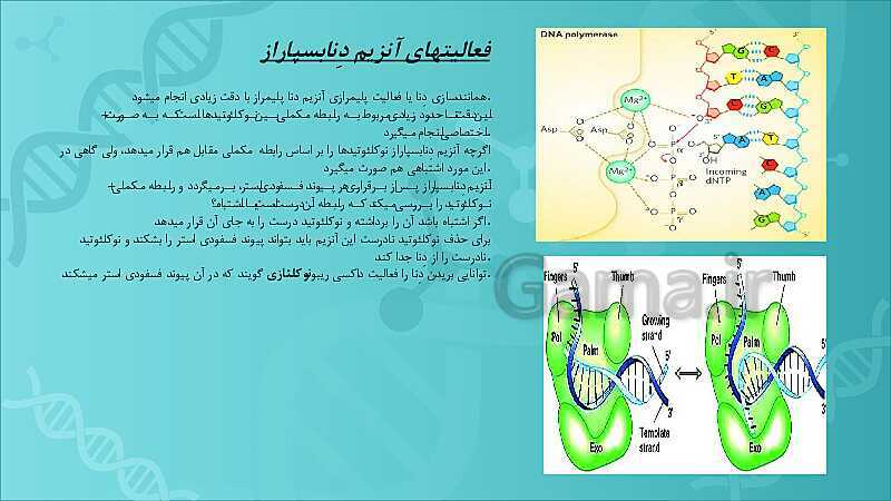 پاورپوینت تدریس زیست شناسی سال دوازدهم |  فصل 1: مولکول‌های اطلاعاتی- پیش نمایش