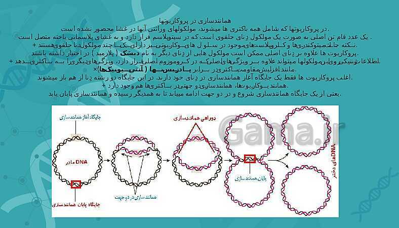 پاورپوینت تدریس زیست شناسی سال دوازدهم |  فصل 1: مولکول‌های اطلاعاتی- پیش نمایش